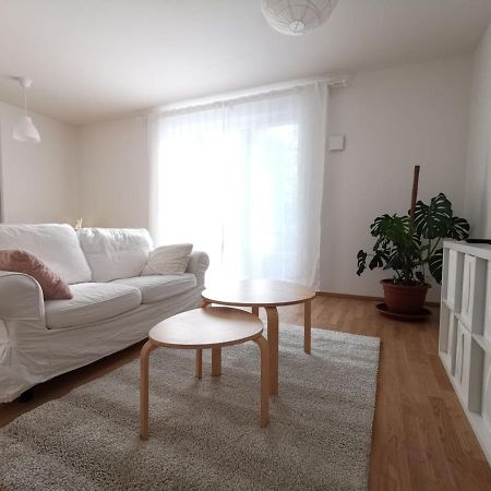 Gemuetliches Privatzimmer In Geraeumiger Gemeinschaftswohnung Dresda Esterno foto