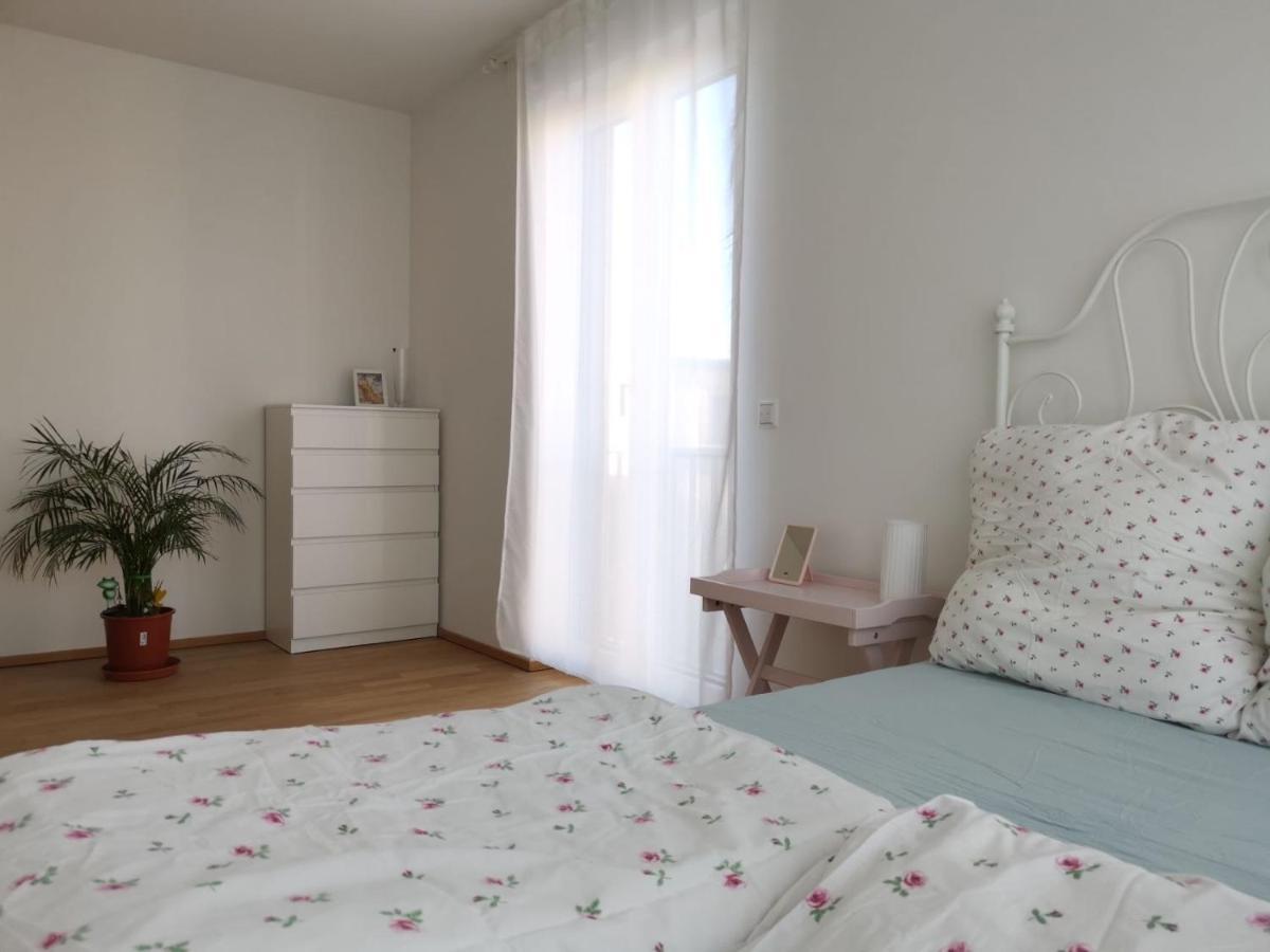 Gemuetliches Privatzimmer In Geraeumiger Gemeinschaftswohnung Dresda Esterno foto